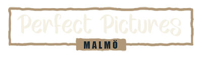 Perfect Pictures Logotyp
